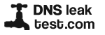 DNS leak test